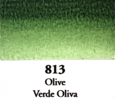 Preview: Schellacktusche  813 olive 30 ml (100 ml=20,90 €)